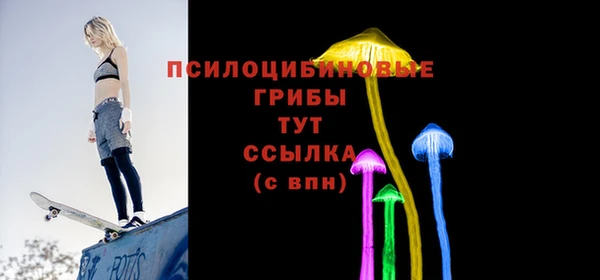 ALPHA PVP Алексин