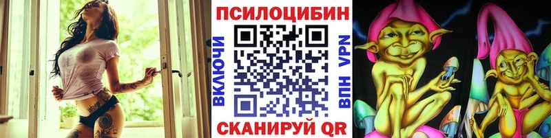 Псилоцибиновые грибы GOLDEN TEACHER  площадка какой сайт  Жигулёвск  MEGA как войти 